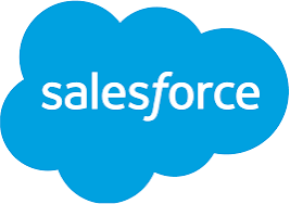 Salesforce Partner badge